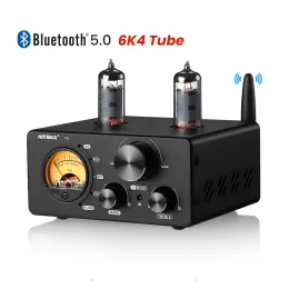 مكبر للصوت Aiyima Hifi T9 BT 5.0 مكبر للصوت أنبوب الفراغ USB DAC Coax Decoding Amplifier مع VU Meter Home Digital AMP 100W2