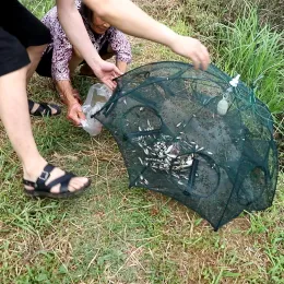 Tillbehör 420hole Fishing Net Folded Portable Hexagon Fish Network Casting Nets Crayfish Räkor Catcher Tank Trap China Cages Mesh billigt