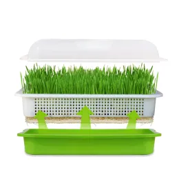 POTS SPROUTER BAYTRAY GRATOR DE GRAVAS DE WHEATS: 1 Defina a bandeja de armazenamento de produtor livre de solo com o propagador de microgreens de broto inicial da tampa para