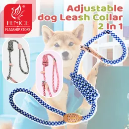 Collari Fenice Dureble Slip Rope Dog Guinzaio 2 in 1 colletto a loop regolabile comodo piccolo meidum grande animale domestico reflective guinzaglio