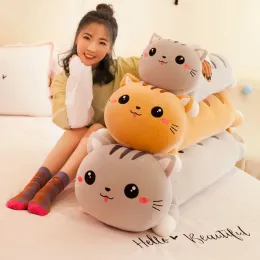 Oyuncaklar 1pc 50130 cm uzunluğunda kedi yastık peluş oyuncak yumuşak doldurulmuş peluş hayvan bebekleri yastıklar için kızlar