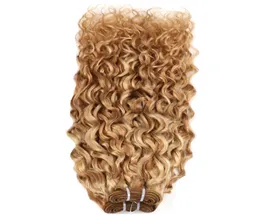 Brasilien Curly Virgin Human Hair Weave 1PCS Doppelschussqualität, kein Schuppen, Free1966837