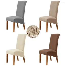Stol täcker 4st/set Velvet High Back Cover Big Elastic Chairs Seat Case Solid Color Slipcovers för matsal Köksfest