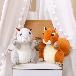 Jogue Cobertor de travesseiro 2 em 1 Hot Selling Wrap Wrap Plush Toys Gift Gift Gift Squirrel