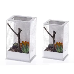 Terrariums Reptilien Fütterungsbox Plastik Terrarium Clear Container für Spinnen Eidechsen Frösche Mantise tragbare kleine Haustier Lebensraum s/l