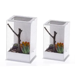 TERRARII REPTILE SCATOLA DI PASSAGGIO Plastica Contenitori trasparenti Terrari per le lucertole ragni Manti Mantis Piccola Habitat Piccole Pieno S/L