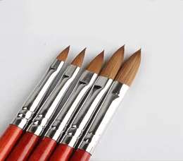 5 PCS Kolinsky Sable Acrylic Nail Art Brush No 246810 UV Gel Builder Carving Pen Brush Liquid PowerdDiy Beauty Nail Drawing3137363