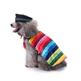 Abbigliamento per cani Costumi a strisce colorate: mantello e berretto nero abiti natalizi