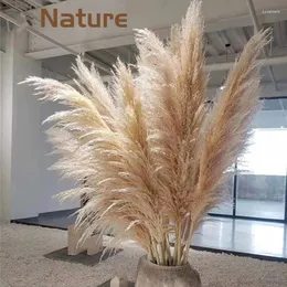 Flores decorativas de tamanho grande pampas grama xxl pampasgrass decorações de casamento de 150 cm de decoração seca artificial