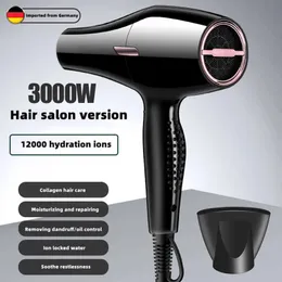 3000W Friseursalon Trockner Hochleistungsstarke Windgeschwindigkeit Trockenblau Ion Stille Home Friseur Spezialprodukt 240412