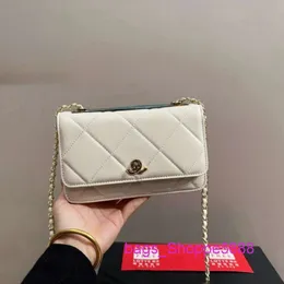 Alta Versão Bolsa de ombro de ombro Moda de cor sólida bordada Lingge Lingge New 2024 Spring Small perfumada Cadeia simples Crossbody Square