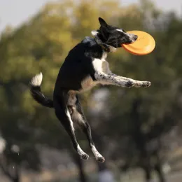 Oyuncaklar Isırık Dayanıklı Yumuşak Uçan Diskler Köpek Eğitim Yarışması Açık Hava Oyunu Uçan Saks Çocuk Pet Etkileşimli Oyuncak 23.5cm