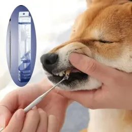مزيل أليف الكلب منظف Tartar Tartar Remover مكشط قلم الأسنان من الفولاذ المقاوم للصدأ Pet Pet Mouth أداة التنظيف عن طريق الفم