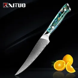 Knivar xituo Damascus stålfruktkniv 67layers japanska VG10 Kök kniv Professional Paring Steak Knife Tool Abalone Shell Handle