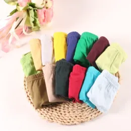 الملابس الداخلية 24pcs /الكثير من Baby Boys ملخصات سراويل داخلية ملونة صلبة الداخلية الأطفال القطن سراويل الأطفال القصير