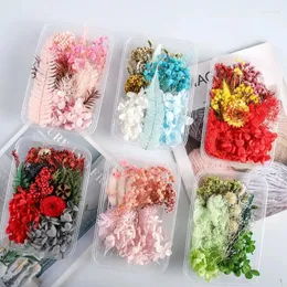 Flores decorativas 1 Caixa de pacote seco real misto e folhagem para vela resina epóxi pendente de jóias DIY fabricando artesanato