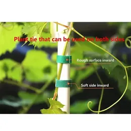 2024 Neues 2m Green Garden Twine Plant Bindes Nylon Pflanze Verband Gartenhakenschleife Bambusrohr -Rohr -Wickel -Stütze Gartenzubehörklon Pflanzenkrawatte