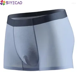 Underpants Men Boxer Shorts Sexy Underwear Silk Mancciale maschi di seta più taglia Cueca Masculina Hombre Slips Man Penis Bouch Silky