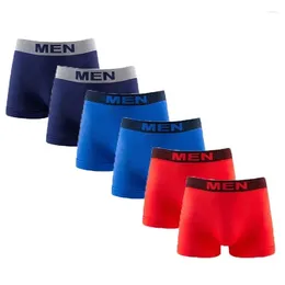 Underbyxor 5 Pack Mens underkläder Sömlösa sexiga boxare Män trosor andas bekväma sportmöten Herrboxer shorts