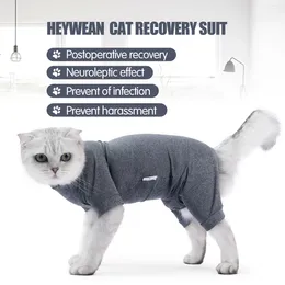 أزياء القط بدلة استعادة الحيوانات الأليفة بعد العملية الجراحية تعقيم مرونة عالية