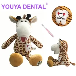Escova de dentes bonecos de pelúcia dental fofa com modelo de dente para crianças bebês aprendendo escovando brinquedos de pelúcia de pelúcia de pelúcia