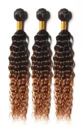 Brasilianer Ombre Deep Curly Hair Bündel 3 Ton 1B430 Braun Ombre Brazilian Curly Jungfrau Human Hair Weaves5403654