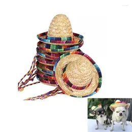 Köpek Giyim Cat Cap Pet Hat Straw Sombrero Sun Beach Party Hats Köpekler Hawaii Stil Komik Aksesuarlar