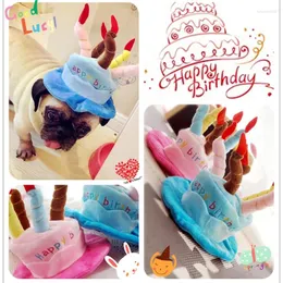 Ubrania dla psów Urodzinowe czapki dla psów małe rasy różowe niebieskie słodkie śmieszne szczenięta zwierzęta Zwierzęta pielęgnacyjne koty chihuahua