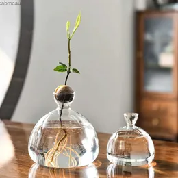 Vases Avocado Vase Transparent Glass Hydroponics Plant Vase Seed Growing Kit Seed Starter Vase Aromatherapy Bottle Gardening Lovers
