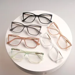 Sunglasses Frames Vintage Designer Fashion Styl Plain Glasses Full Frame Eyeglass Transparent TR90 Butterfly