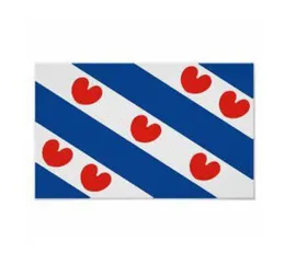 Netherlands Frisian Flag Double Stitching Flag 3x5 FT Banner 90x150cm Festival Party Gift 100D Polyester Printed selling6938115