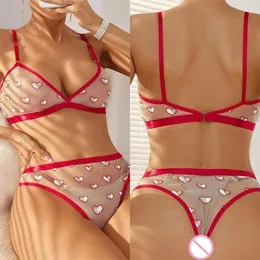 Bras define lingerie erótica conjunto de sutiã de amor perspectiva fina