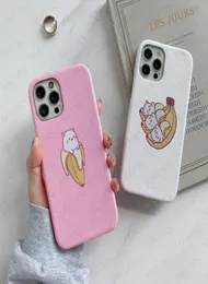 Design Banana Cat Phone Cases for iPhone 12 Mini 12pro 11 11pro X Xs Max Xr 8 7 6 6s Plus Fashion Skin Letter Case Cover2308249
