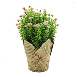 Dekorative Blumen Indoor Künstliche Blume Bright S verschiedenen Produktionsstapeln Produktname simulierte Topfpflanzen exquisite Verarbeitung