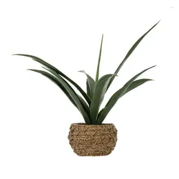 Fiori decorativi pianta di foglie di Pandanus artificiale in pot di alghe naturale18 eucalipto ghirlande decorazioni per eventi mazzi da sposa mazzi da sposa