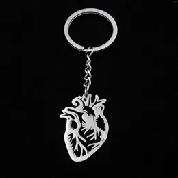 Keychains Moda de aço inoxidável Órgãos de Órgãos de aço de aço Coração de coração Chaços para mulheres Presente de cadeia -chave