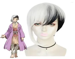Party Supplies Drstone Asagiri Gen Cosplay Wig Unisex Anime Character Headgear Black and White Mixed Short Hair Wigs Cap8975855