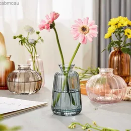 화병 투명한 유리 꽃병 Morden Flower Vase INS Crystal 꽃병 수경식 꽃 공장 냄비 거실 장식 데스크톱 장식