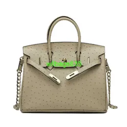 Bk 2530 Handbags Ostich Leather Totes Trusted Luxury Bags Same Ostrich Pattern Platinum Bag Genuine Leather Womens Bag New Single Shoulder Di have logo HBR2HE