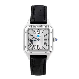 Quadri funzionanti orologi automatici Carter set completo della nuova serie quadrata sandoz WSSA0023 Quartz Watch Womens Svizzera Svizzera
