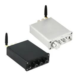 Amplificatore TPA3116D2 Amplificatore di potenza digitale 300WX2 HIFI 2.0 Amplificatore di potenza del canale