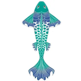 大人のための魚のkits kits string line toys for kids kite nylon kite parachute weifang beach kite dragon 240419