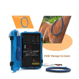 High Power Veterinary Pemf Magnetic Therapy Device Pmst Loop Equine Pain Relief Equipment Magnetotherapy for Race Horses Relax