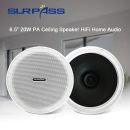 Equipment 6.5inch 20W Ceiling Speakers Dustproof Frameless Roof In Ceiling Speaker PA Audio Speaker Home Sound System for Kitchen Bathroom