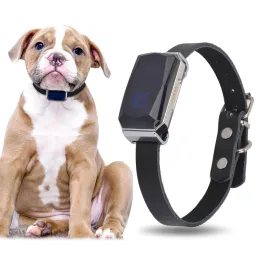 الإلكترونيات IP67 G12 G12 GPS Tracking Tracking Locator Pet Locator Universal Tracking Mini Mini Tracking للقطط والكلاب تحديد موقع تحديد موقع