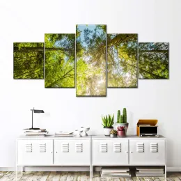 5 Panel Autumn Trees Canvas Painting Wall Art Tree Top Forest Landscape Canvas Print Looking Up Through for Living Room Unframed