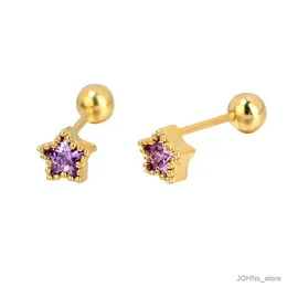 Lustre de lustre 1pair Mini Mini Crystal Zircon Star Studs Brincho Cartilagem Brincô CZ para mulheres TRAGUS HELIX Ear Studs Piercing Jewelry Gift