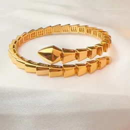 Pulseira de grife de pulseira de pulseira de pulseira de pulseira designer para mulheres letra cor sólida cor de cobra de alta qualidade jóias de pulseira muito boa