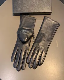 P Brandklassiker klassischer Bogenschäferschreiberhandschuhe Hardware Fäustlinge Frauen im Freien warm Glove Touchscreen Plüsch Mitten für Damen Geburtstagsgeschenk5752218