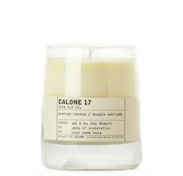 Velas com perfume sólido de perfume integral 245g 11 Cedar 21 62 Santal 26 Retro Industrial Style Bougie Parfum Counter Edition8548040